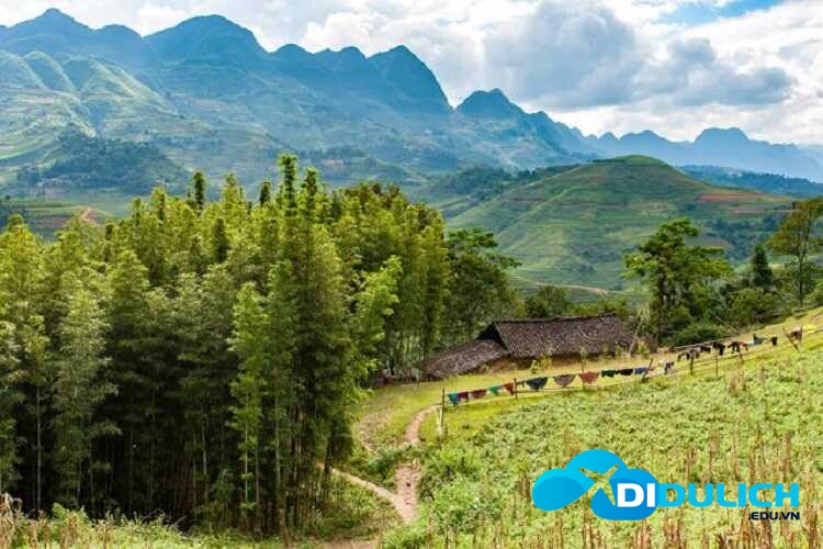 rung-thong-yen-minh-ha-giang-13_optimized Rừng thông Yên Minh ở Hà Giang có phải là một Đà Lạt của Đông Bắc?