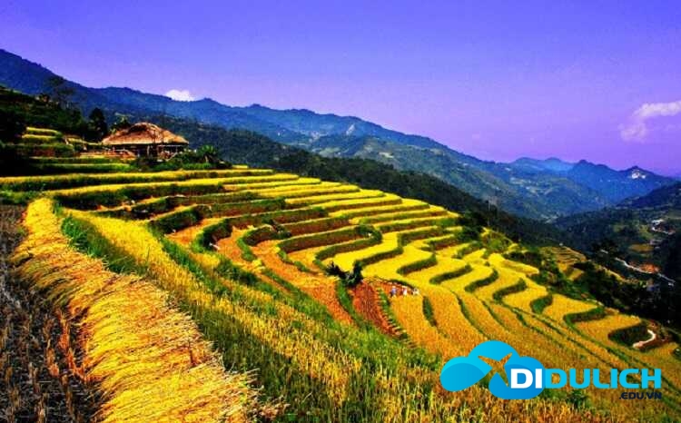 ruong-bac-thang_optimized Ruộng bậc thang