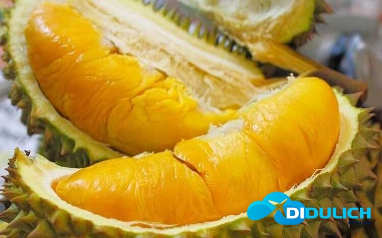 saurieng_optimized Sầu riêng cơm vàng hạt lép