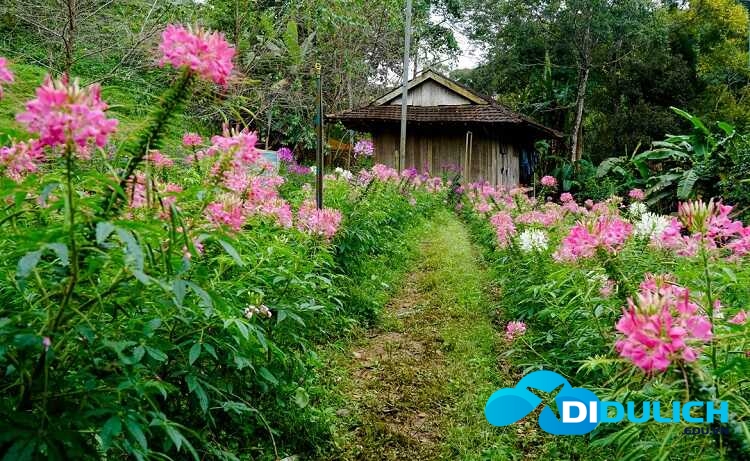 thac-pa-sy-3_optimized Thác Pa Sỹ, khu du lịch sinh thái với tuyệt cảnh đại ngàn của Kon Tum
