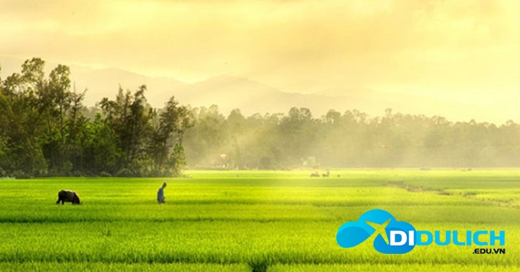 thien-duong-nghi-duong bức tranh đồng quê
