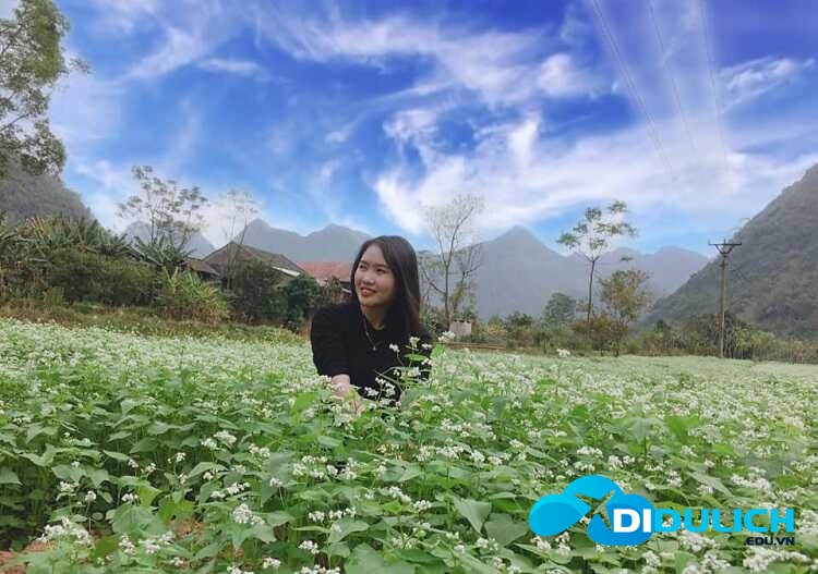 thung-lung-hoa-bac-son-19_optimized Thung lũng hoa Bắc Sơn Lạng Sơn, thiên đường sống ảo muôn sắc màu