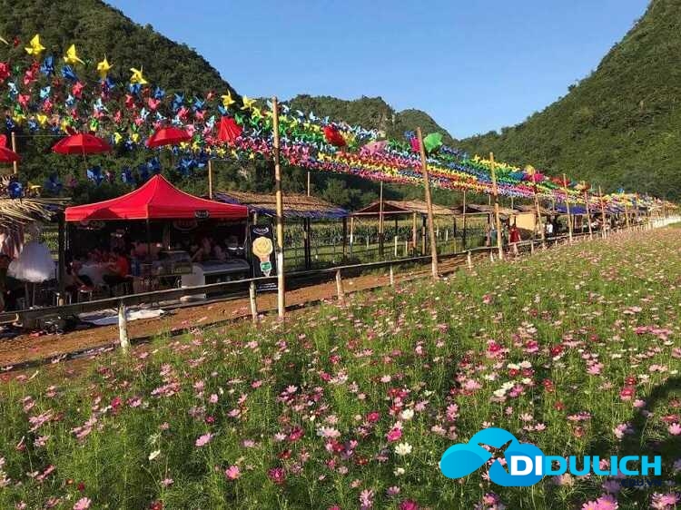 thung-lung-hoa-bac-son-1_optimized Thung lũng hoa Bắc Sơn Lạng Sơn, thiên đường sống ảo muôn sắc màu