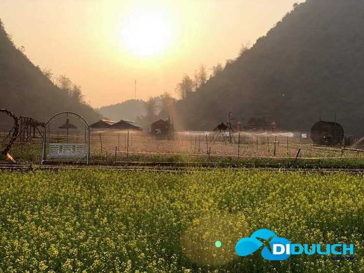 thung-lung-hoa-bac-son-2_optimized Thung lũng hoa Bắc Sơn Lạng Sơn, thiên đường sống ảo muôn sắc màu