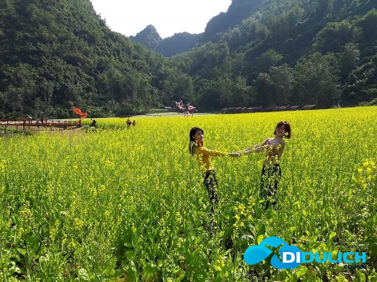 thung-lung-hoa-bac-son-5_optimized Thung lũng hoa Bắc Sơn Lạng Sơn, thiên đường sống ảo muôn sắc màu