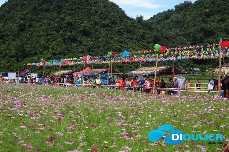 thung-lung-hoa-bac-son-7_optimized Thung lũng hoa Bắc Sơn Lạng Sơn, thiên đường sống ảo muôn sắc màu