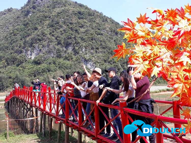 thung-lung-hoa-bac-son-8_optimized Thung lũng hoa Bắc Sơn Lạng Sơn, thiên đường sống ảo muôn sắc màu