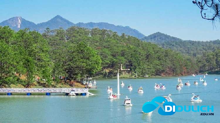 thung-lung-tinh-yeu-13 thung lũng tình yêu đà lạt