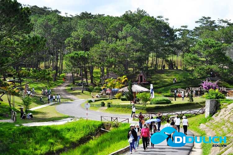 thung-lung-tinh-yeu-5 thung lũng tình yêu đà lạt