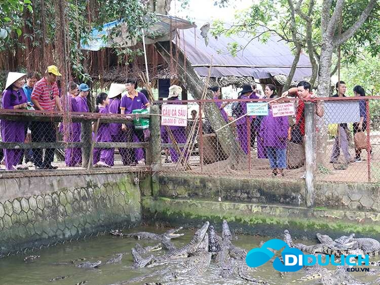 tro-choi-cau-ca-tai-du-lich-con-phung-ben-tre_optimized Trò chơi câu cá sấu