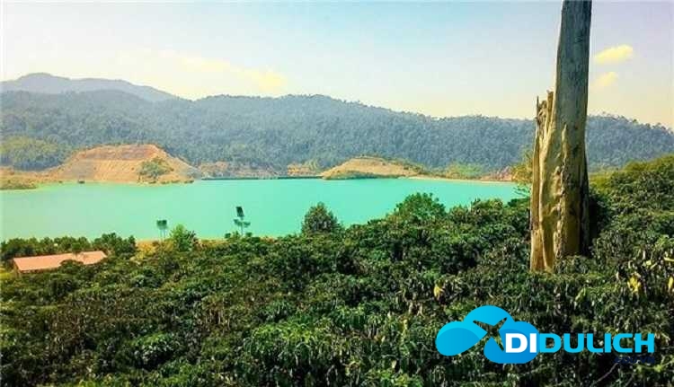tuyet-tinh-coc-bao-loc-6 Tuyệt tình cốc Bảo Lộc