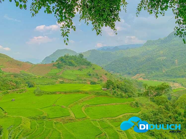 tuyet-tinh-coc-van-ho-moc-chau-thac-chieng-khoa-1_optimized bức tranh thiên nhiên