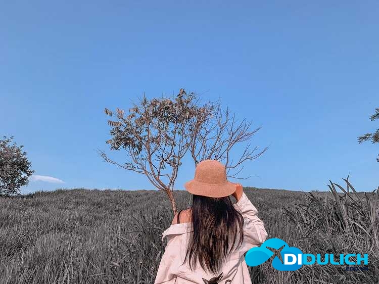 tuyet-tinh-coc-van-ho-moc-chau-thac-chieng-khoa-2_optimized Tuyệt Tình Cốc Vân Hồ Mộc Châu - Thác Chiềng Khoa