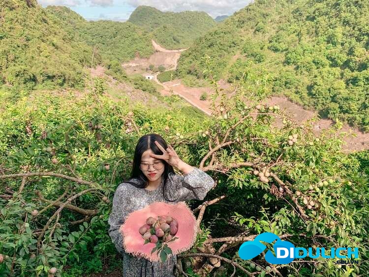 tuyet-tinh-coc-van-ho-moc-chau-thac-chieng-khoa-4_optimized Tuyệt Tình Cốc Vân Hồ Mộc Châu - Thác Chiềng Khoa