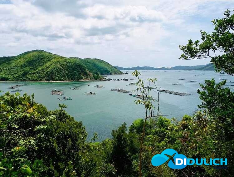 vinh-xuan-dai-phu-yen-1_optimized Vịnh Xuân Đài
