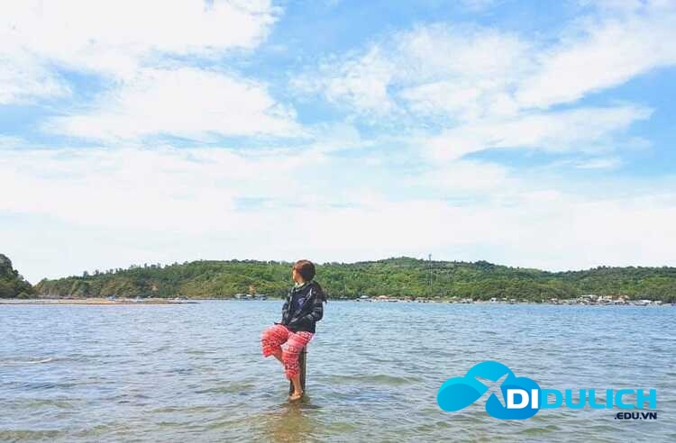 vinh-xuan-dai-phu-yen-3_optimized Vịnh Xuân Đài