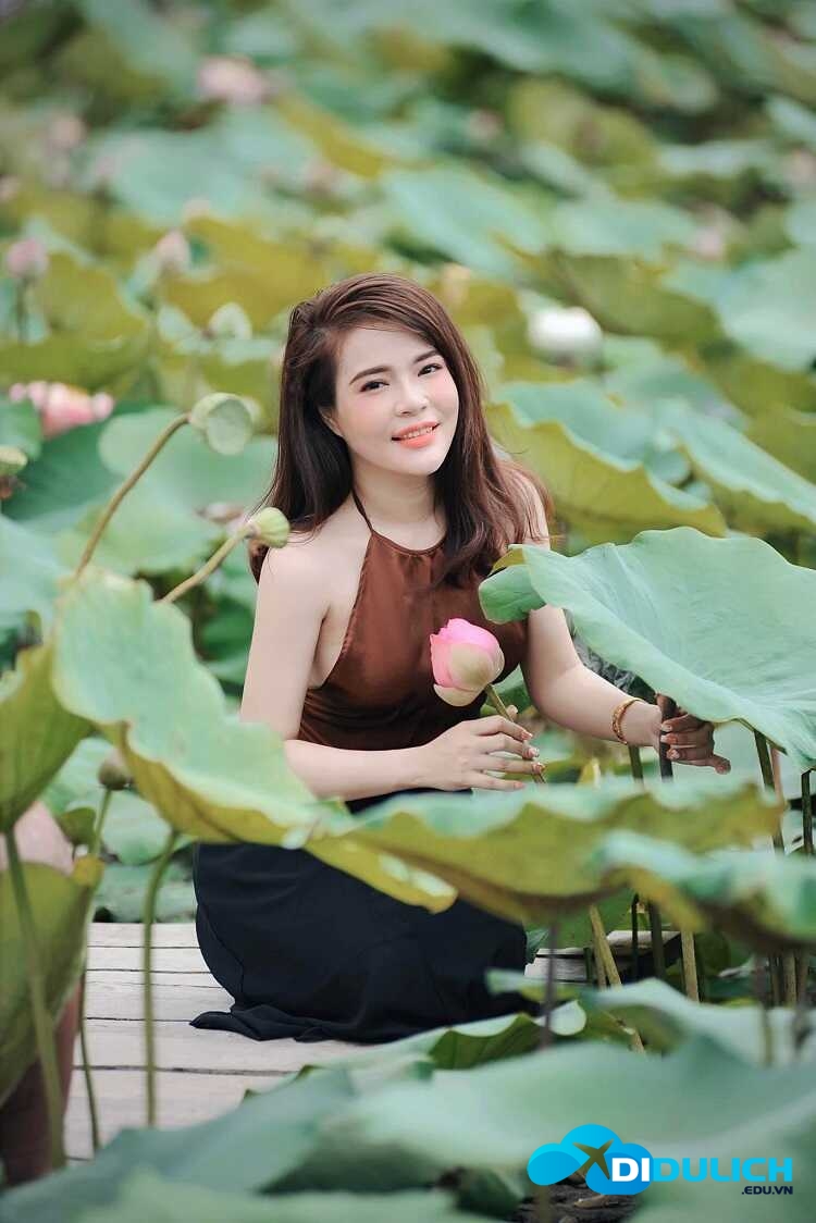vuon-hoa-man-dinh-hong-14_optimized Vườn hoa Mãn Đình Hồng