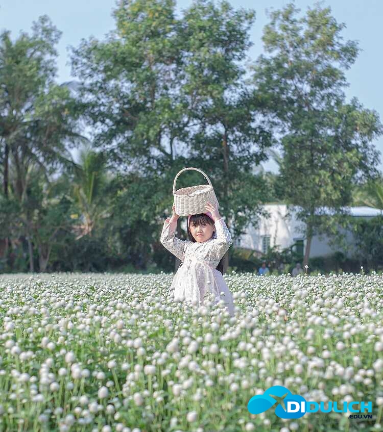 vuon-hoa-man-dinh-hong-21_optimized Vườn hoa rất đẹp