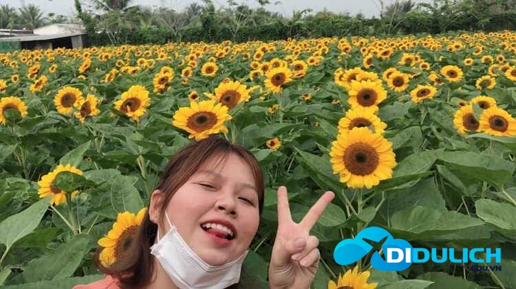 vuon-hoa-man-dinh-hong-23_optimized Vườn hoa Mãn Đình Hồng