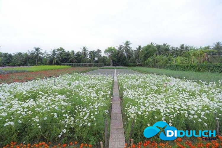vuon-hoa-man-dinh-hong-2_optimized Vườn hoa Mãn Đình Hồng