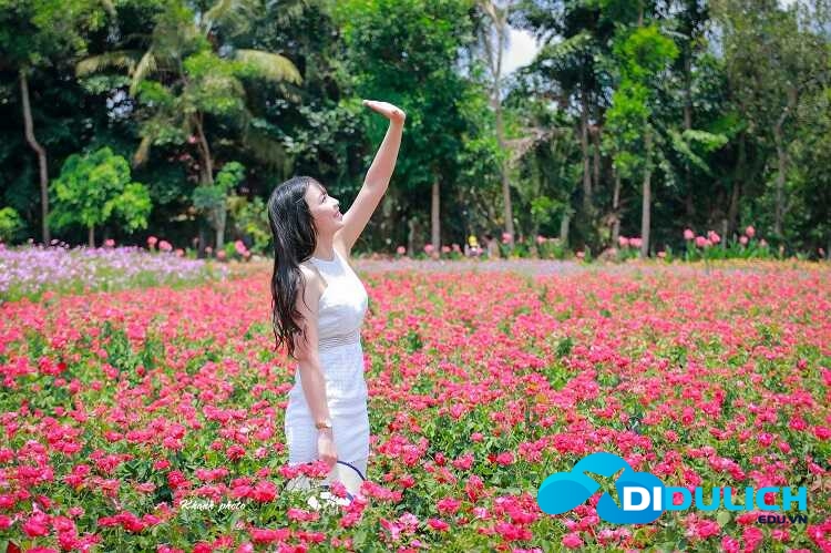 vuon-hoa-man-dinh-hong-5_optimized Vườn hoa Mãn Đình Hồng
