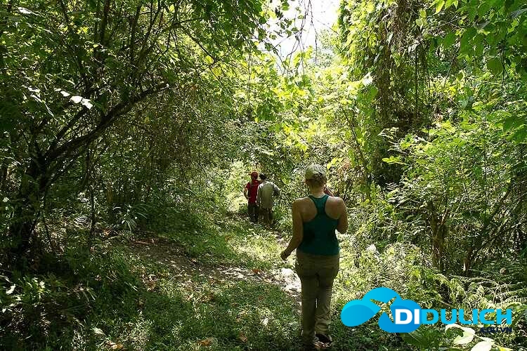 vuon-quoc-gia-ba-be-5_optimized trekking vườn quốc gia ba bể