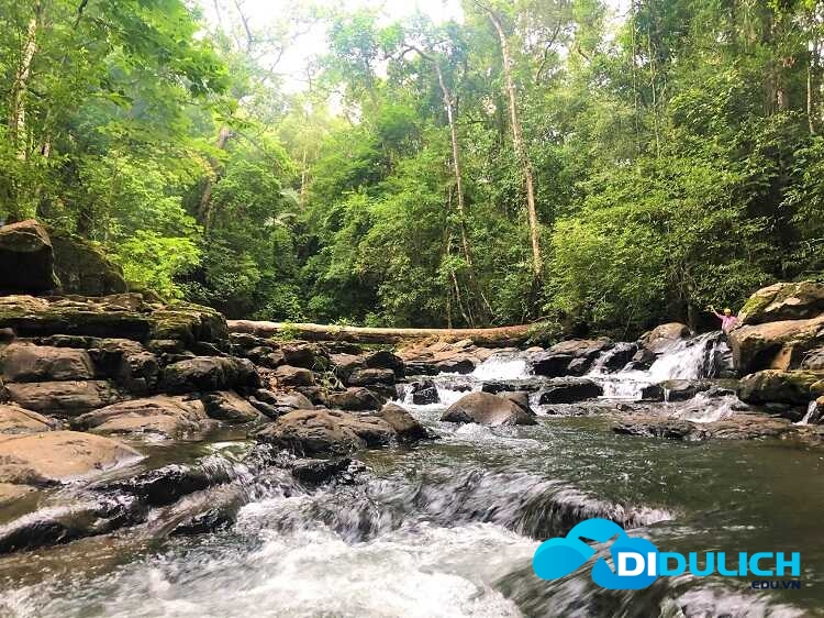 vuon-quoc-gia-bu-gia-map-10_optimized Vườn quốc gia Bù Gia Mập, khu du lịch cực hoang sơ của Bình Phước