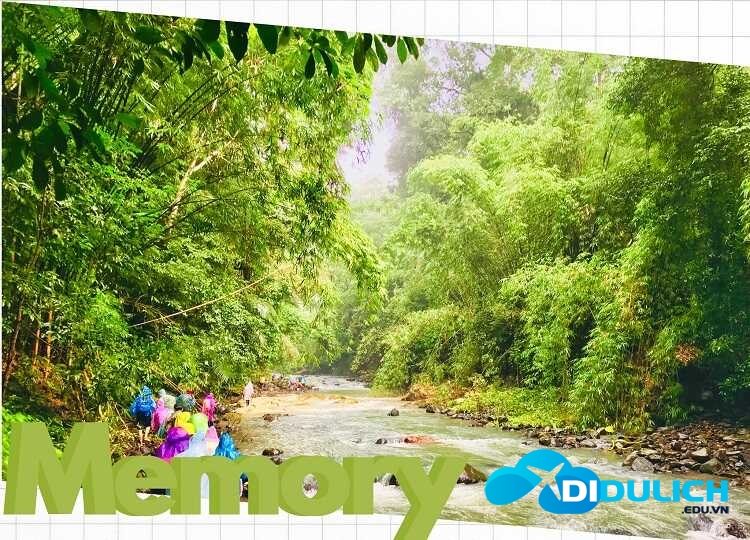 vuon-quoc-gia-bu-gia-map-3_optimized Vườn quốc gia Bù Gia Mập, khu du lịch cực hoang sơ của Bình Phước