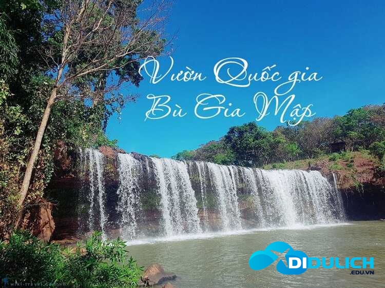 vuon-quoc-gia-bu-gia-map-6_optimized-1 Vườn quốc gia Bù Gia Mập, khu du lịch cực hoang sơ của Bình Phước
