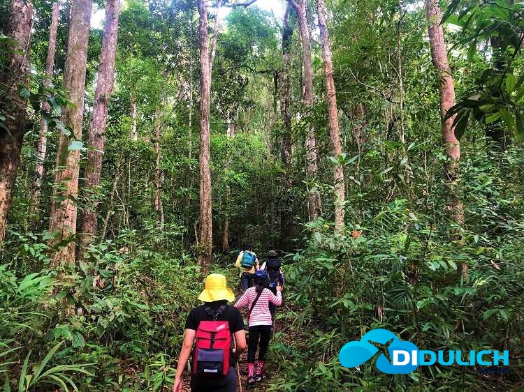 vuon-quoc-gia-bu-gia-map-9_optimized Vườn quốc gia Bù Gia Mập, khu du lịch cực hoang sơ của Bình Phước