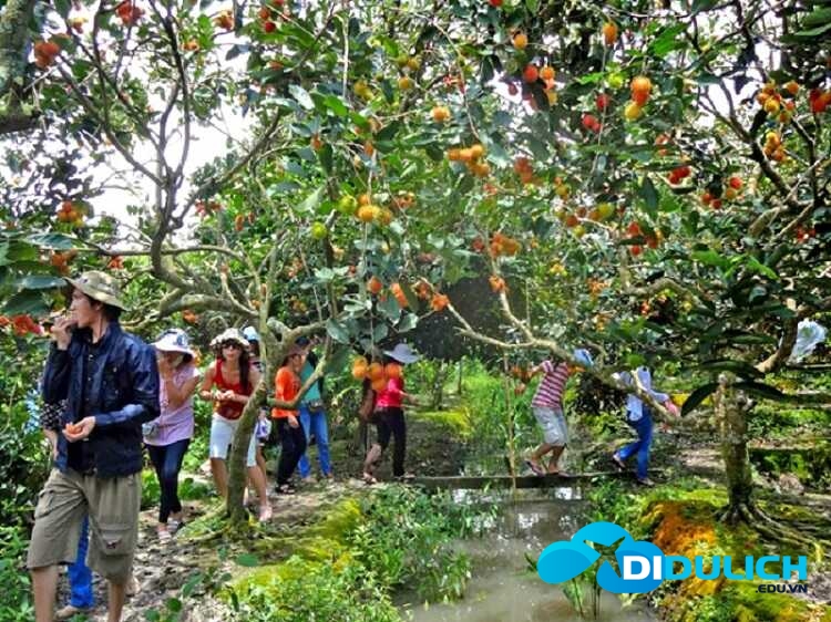 vuon-trai-cay_optimized tham quan vườn trái cây