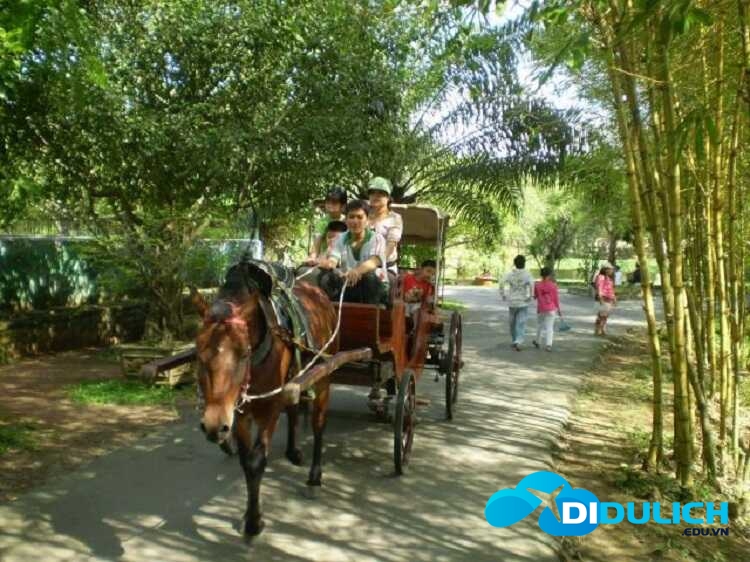 xe-ngua_optimized-1 Đi xe ngựa quanh Cồn Phụng